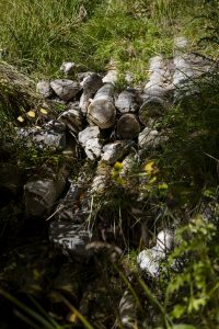 An image of a log run down in the big hole watershed.
